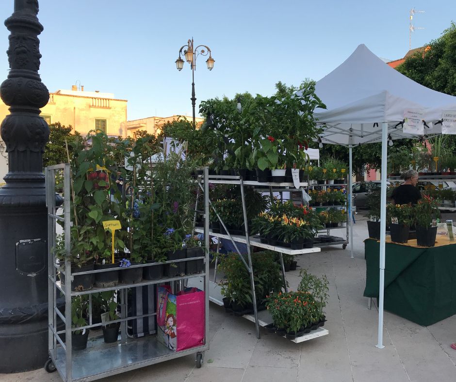 stand di erbe aromatiche